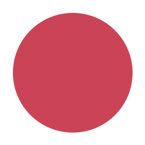 Velvet Liquid Lipstick